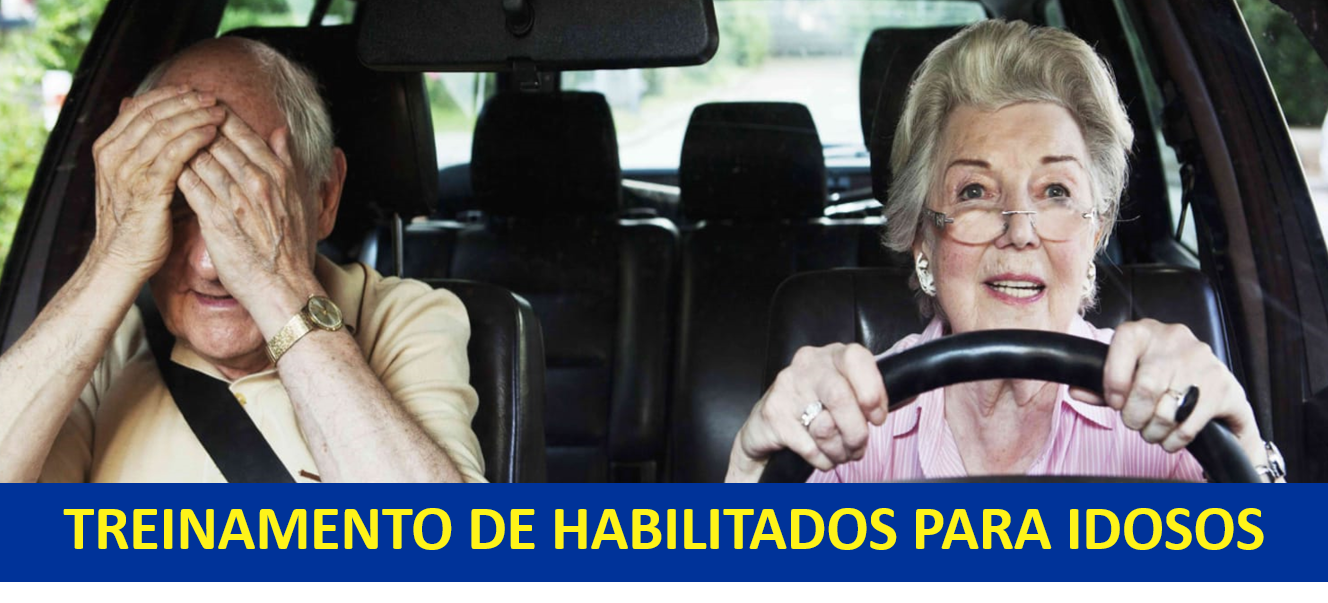 Treinamento de Habilitados para Idosos